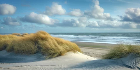 Papier Peint photo Mer du Nord, Pays-Bas Dunes beach background, North Sea