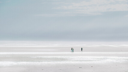Wadden Sea Coast.Sea recreation and vacation.People walking with a dog along the beach on a cloudy...