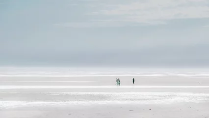Foto auf Alu-Dibond Wadden Sea Coast.Sea recreation and vacation.People walking with a dog along the beach on a cloudy day.Frisian Islands. Fer Island. Germany. © Yuliya