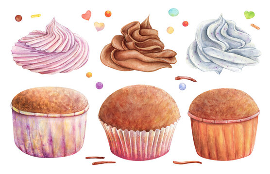 Cupcake muffin cream watercolor drawing set. Chocolate fruit vanilla in nice paper. Cake candy bakery tasty dessert illustration. Birthday celebration pastry aquarelle picture isolated on white