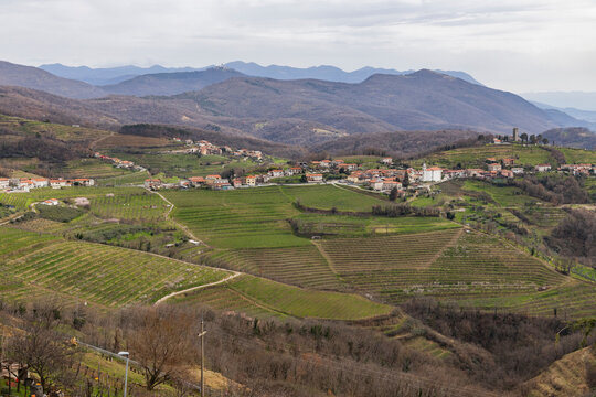 Panoramic view of the Collio hills, Cormons, between Gorizia and Nova Gorica. European Capital of Culture 2025. Typical local products vineyards and wines. Gonjače Tower places to visit and tradition