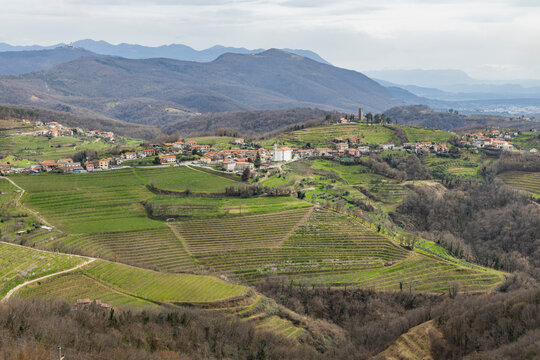 Panoramic view of the Collio hills, Cormons, between Gorizia and Nova Gorica. European Capital of Culture 2025. Typical local products vineyards and wines. Gonjače Tower places to visit and tradition