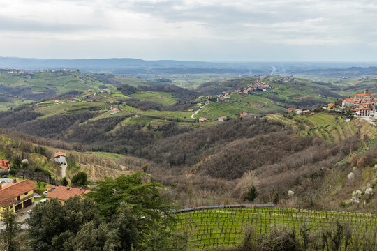 Panoramic view of the Collio hills, Cormons, between Gorizia and Nova Gorica. European Capital of Culture 2025. Typical local products vineyards and wines. Gonjače Tower places to visit and tradition