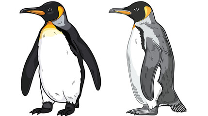 Penguin Animal Coloring Page for Kids flat vector 