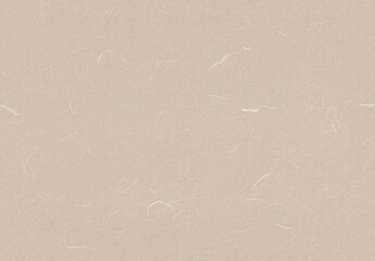 Handmade Rice Paper Texture. Stark White, Grain Brown, Aths Special, Wafer Color. Seamless...