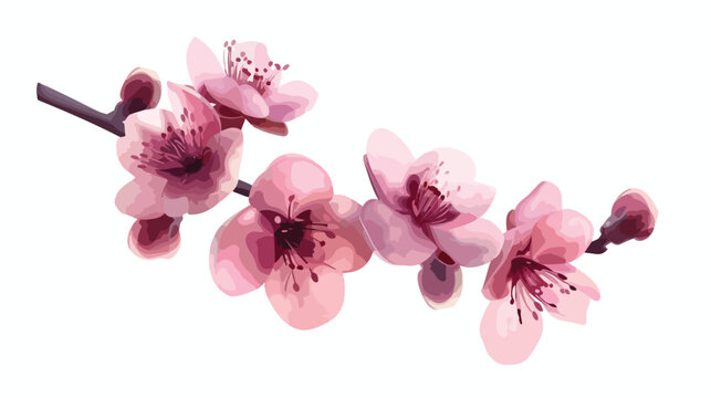 Peach blossom vector abstract flowers pink color flat