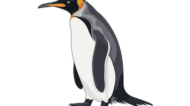 Penguin Animal Coloring Page for Kids flat vector 