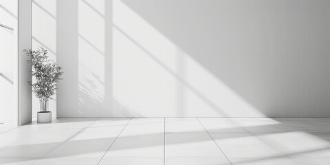 Obraz premium Abstract white studio background for product presentation. Empty room with shadows of window