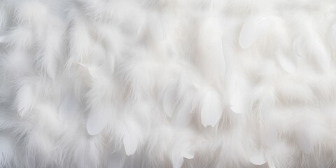 White wool silk feathers background and Texture of fluffy fabric