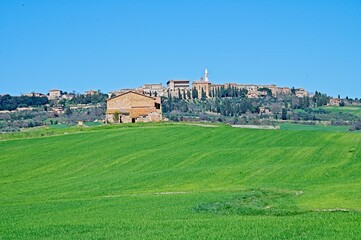 Obraz premium Spring in the Hills of Tuscany Italy