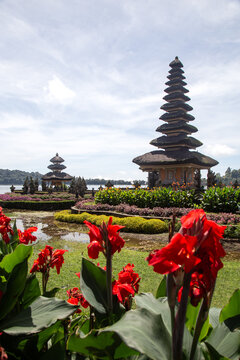 Red flowers with the iconic balinese Beratan Temple