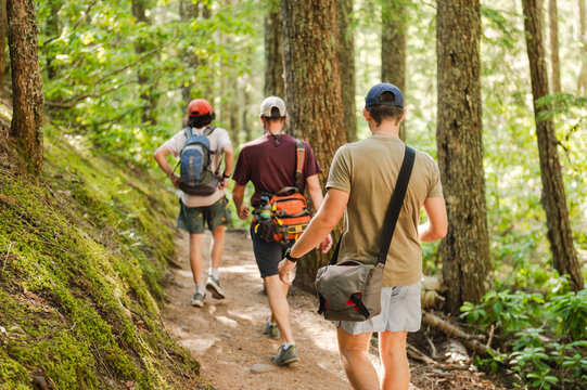 Group hiking in a dense forest trail