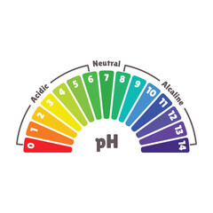 pH Value Scale for Acid and Alkaline Balance. Vector