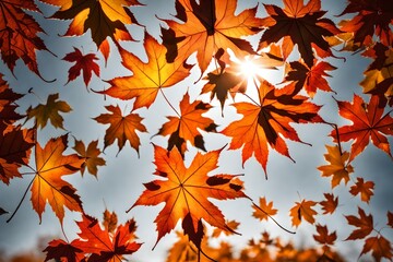 Sun-kissed maple leaves resting on a polished surface, creating a picturesque fall scene.