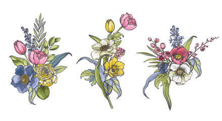 Set of vector compositions of spring flowers, leaves and branches. Different flowers, tulips, anemones and other plants in beautiful bouquets.