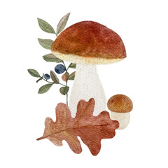 Porcini mushroom with a blueberry and oak leaf watercolor composition isolated on white
