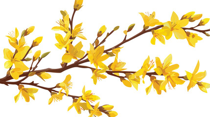 Spring flowering plants like Forsythia blossoms highl