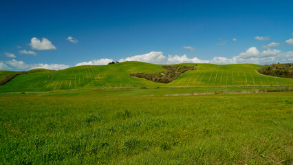 Panorama collinare della Val d'Orcia lungo il percorso ciclistico dell'Eroica. Provincia di Siena. Toscana , Italia