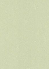 Handmade Rice Paper Texture. Green Mist, Orinoco, Pale Leaf Color. Seamless Transition. Antique...