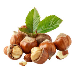 Hazelnuts isolated on transparent background 