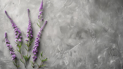 A bunch of purple flowers are on a grey wall. The flowers are purple and are arranged in a way that they are not touching each other - obrazy, fototapety, plakaty