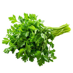 Ripe Green Parsley Isolated on transparent background 