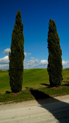 Panorama collinare della Val d'Orcia lungo il percorso ciclistico dell'Eroica. Provincia di Siena....