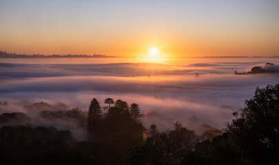 Auckland city above heavy fog at sunrise. View from Mt Eden summit. Auckland.