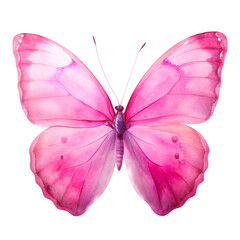 watercolor butterfly clipart