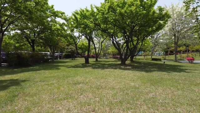 공원