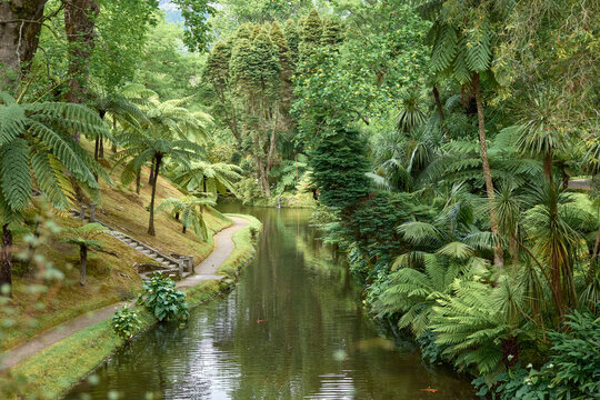 Terra Nostra garden a tropical world in Sao Miguel, Azores, Portugal