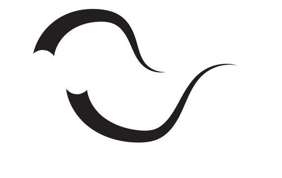 Swoosh line vector, underline swish, stroke swash swirl, curly hand drawn text calligraphic brush tail, black fireworks icon set isolated on white background. Doodle decorative illustration