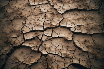 A striking close-up showcasing deep cracks in dried earth, symbolizing drought and the fragility of ecosystems - obrazy, fototapety, plakaty