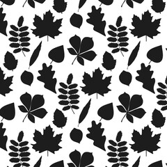 Fototapeta premium Pattern of silhouettes of autumn leaves. Various leaves on a white background. Vector illustration.
