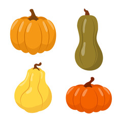 Set of pumpkin icons of different shapes. Vector illustration.