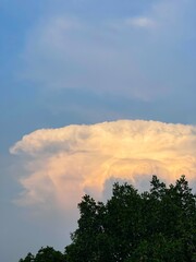 Silhouette of tree and sky background.copy space. Image of a blue sky and some clouds with copy space for text. 