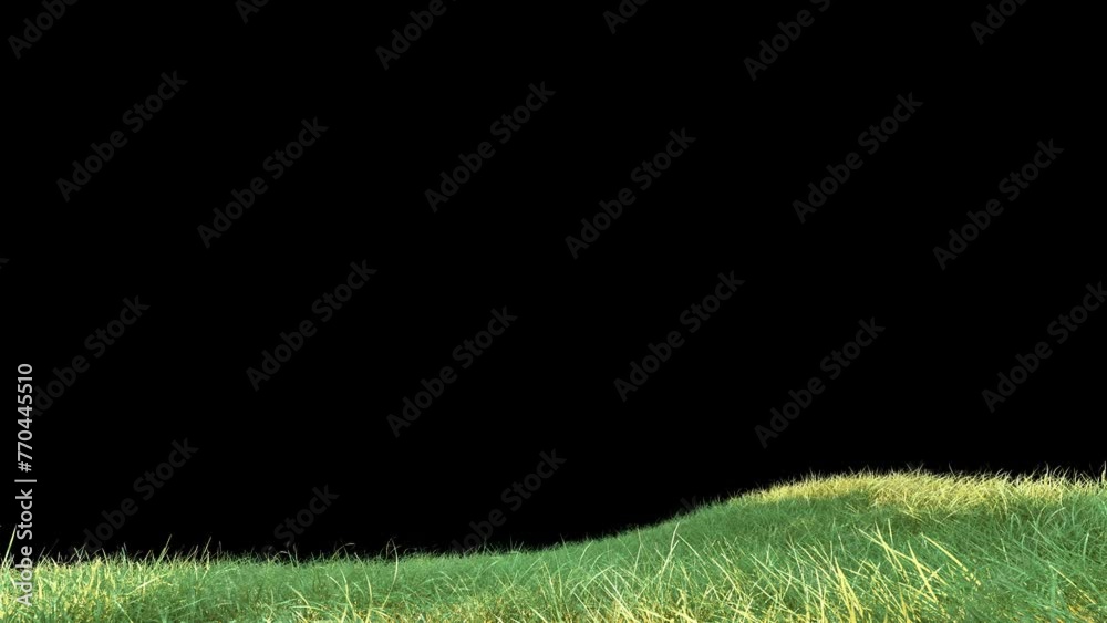 Wall mural grass wind noise loop on alpha channel. element footage place on footage or background and easier to