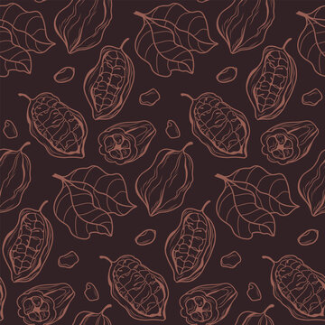 Cocoa plant pattern of rich chocolate color cocoa beans cocoa fruits and leaves drawn by hand