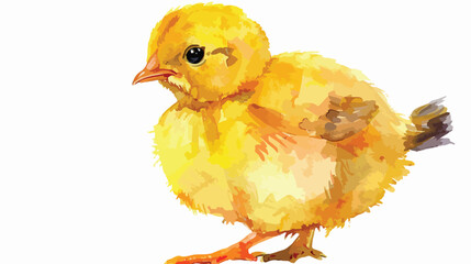 Watercolor Little Chick Flat vector isolated on white