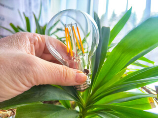 Hand of woman with a transparent glass lamp in green plant like a flower. The end of the...