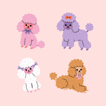 Set of cute colorful poodle dogs. Vector graphics.