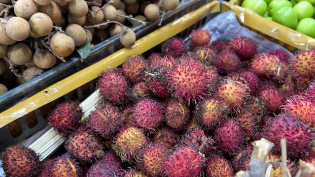 Rambutan Nephelium lappaceum with natural background. Rambutan is the exotic fruit from indonesia. Juicy and sweet. one of the cheapest fruit from Indonesia. word rambut meaning 