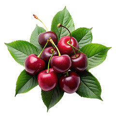 cherry isolated