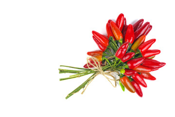 Bunch of red chili peppers tied rope. White background.