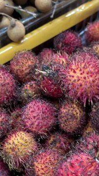 Rambutan Nephelium lappaceum with natural background. Rambutan is the exotic fruit from indonesia. Juicy and sweet. one of the cheapest fruit from Indonesia. word rambut meaning 