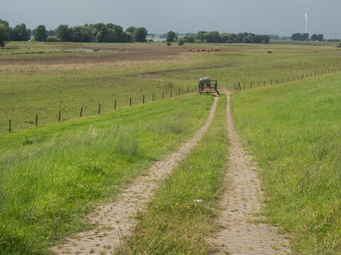 Sommerzeit am Rheindeich bei Bislich