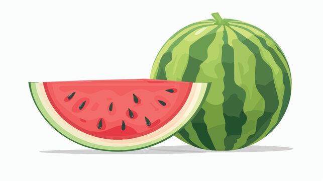 Watermelon and juicy slice watermelon vector in flat