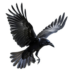 Obraz premium flying raven, png file of isolated cutout object on transparent background