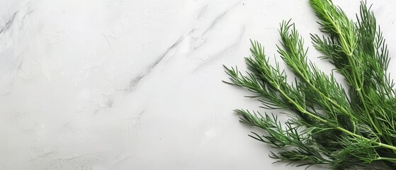   A dill sprig on a white marble countertop with a green stem on top