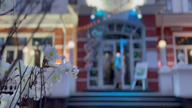 sakura branches with blooming white flowers against the background of a blurred silhouette of the entrance to the cafe with illuminated visitors coming out on the eve of early spring